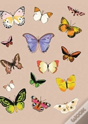 Capa do artigo Metamorphosis Journal