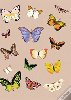 Capa do artigo Metamorphosis Journal
