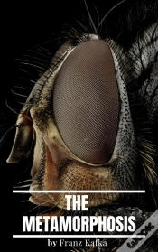 Capa do artigo Metamorphosis