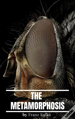 Capa do artigo Metamorphosis