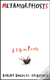 Capa do artigo Metamorphosis