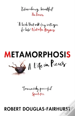 Capa do artigo Metamorphosis