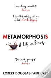 Capa do artigo Metamorphosis