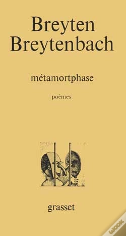 Capa do artigo Metamortphase