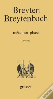 Capa do artigo Metamortphase