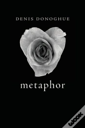 Capa do artigo Metaphor
