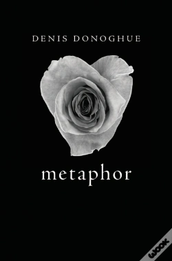 Capa do artigo Metaphor