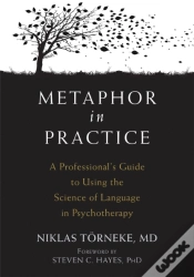 Capa do artigo Metaphor In Practice