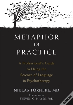 Capa do artigo Metaphor In Practice