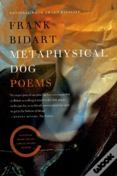 Metaphysical Dog