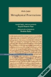 Capa do artigo Metaphysical Penetrations