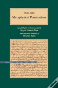 Capa do artigo Metaphysical Penetrations