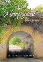 Metaphysical Short Stories - Preview