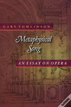 Capa do artigo Metaphysical Song