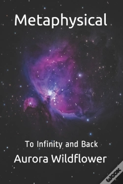 Capa do artigo Metaphysical