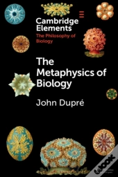 Metaphysics Of Biology