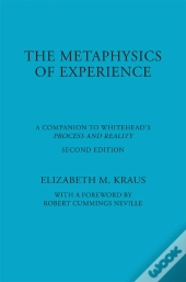 Metaphysics Of Experience