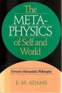Metaphysics Of Self And World - Preview
