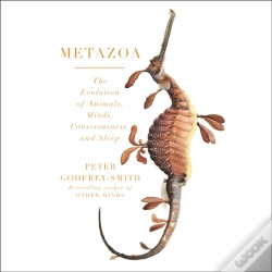 Capa do artigo Metazoa