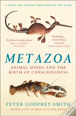 Capa do artigo Metazoa