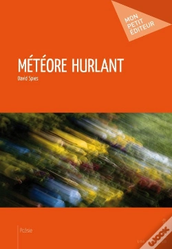 Capa do artigo Météore Hurlant