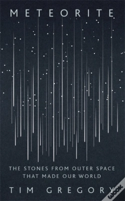 Capa do artigo Meteorite