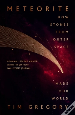 Capa do artigo Meteorite