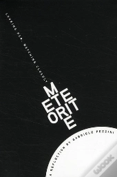 Meteorites - Looking Far, Watching Closely. A Reflexion By Gabriele Pezzini
