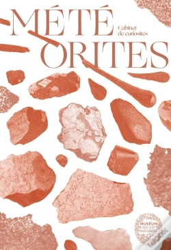 Capa do artigo Météorites : Trésors Cosmiques