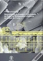 Capa do artigo Meteorização do Granito e Deterioração da Pedra em Monumentos da Cidade do Porto
