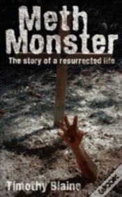 Capa do artigo Meth Monster