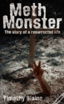 Capa do artigo Meth Monster