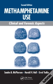 Capa do artigo Methamphetamine Use