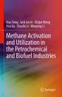 Methane Activation And Utilization In The Petrochemical And Biofuel Industries - Preview