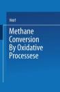 Methane Conversion By Oxidative Processes - Preview