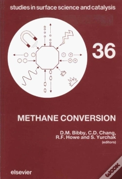 Capa do artigo Methane Conversion