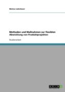 Methoden Und Manahmen Zur Flexiblen Abwicklung Von Produktprojekten