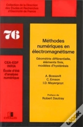 Méthodes Numériques En Électromagnétisme : Géométrie Différentielle, Éléments Finis, Modèles D'Hystérésis