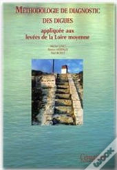 Methodologie De Diagnostic Des Digues Appliquee Aux Levees De La Loire Moyenne