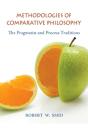 Methodologies Of Comparative Philosophy - Preview