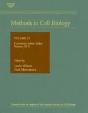 Methods In Cell Biology - Preview
