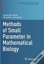 Methods Of Small Parameter In Mathematical Biology
