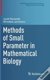 Capa do artigo Methods Of Small Parameter In Mathematical Biology