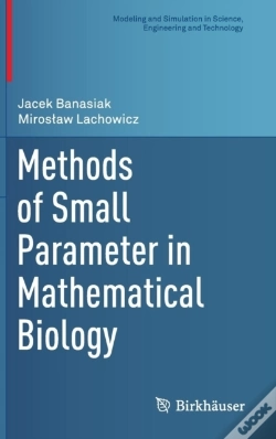 Capa do artigo Methods Of Small Parameter In Mathematical Biology