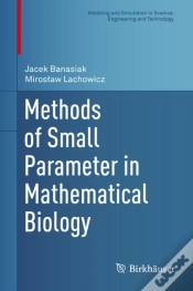 Capa do artigo Methods Of Small Parameter In Mathematical Biology
