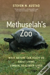 Capa do artigo Methuselah