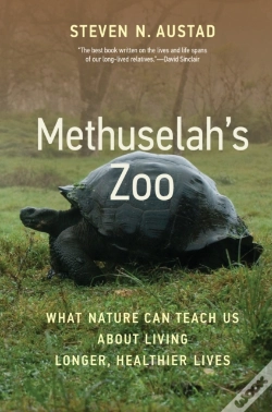 Capa do artigo Methuselah'S Zoo