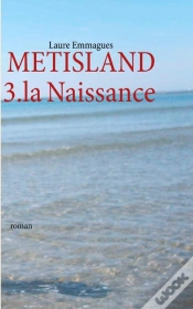Capa do artigo Metisland