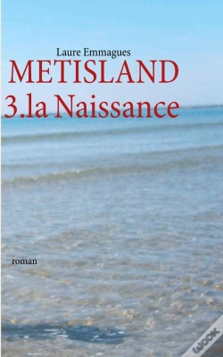 Capa do artigo Metisland