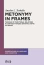 Metonymy In Frames - Preview